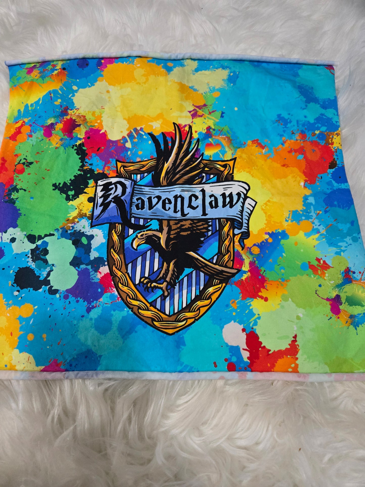 RAVENCLAW CHILD PANEL CL