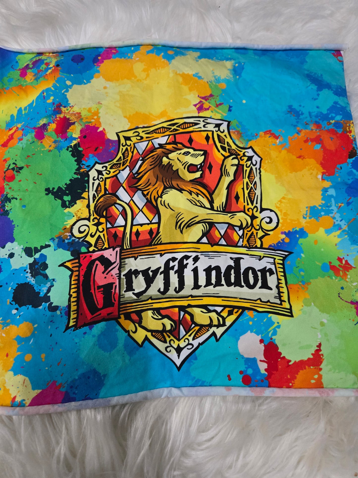 GRYFFINDOR CHILD PANEL CL